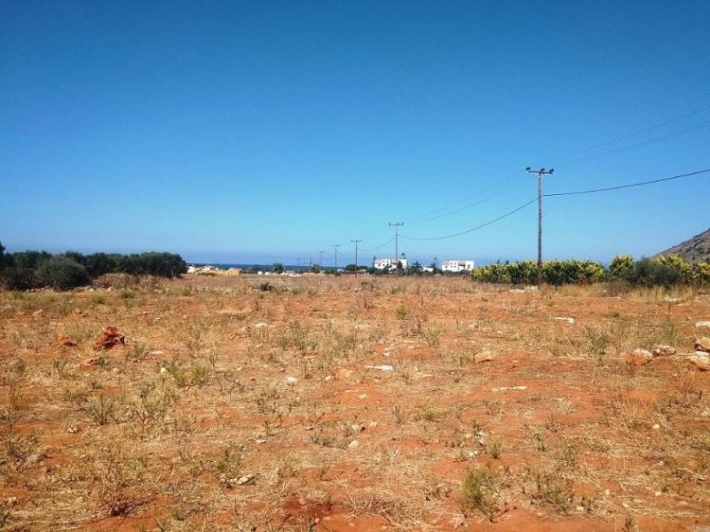 Stavros Kreta, Stavros: Grundstück zu verkaufen, nur wenige Meter vom Strand entfernt Grundstück kaufen